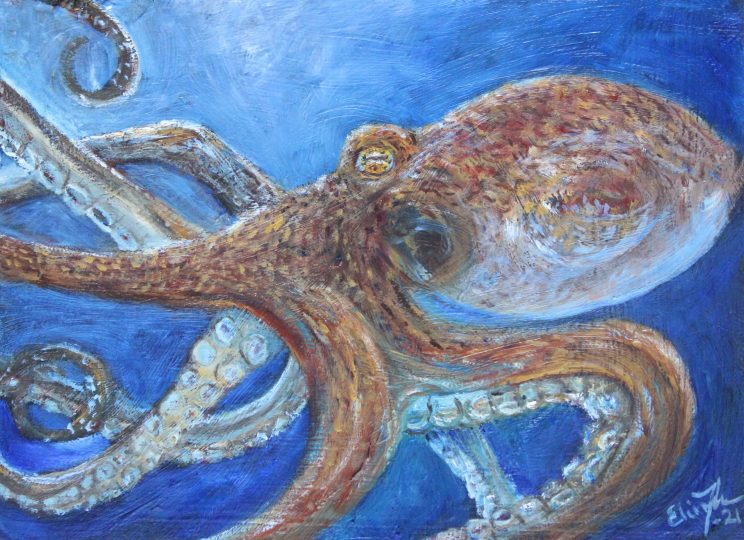 Octopus vulgaris for Twitter Art Exhibit 2022
