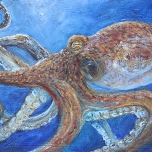 Octopus vulgaris TAE22