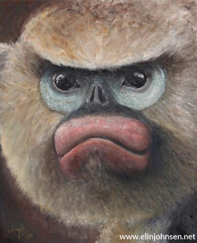 Tonkin snub-nosed monkey (Rhinopithecus avunculus)
